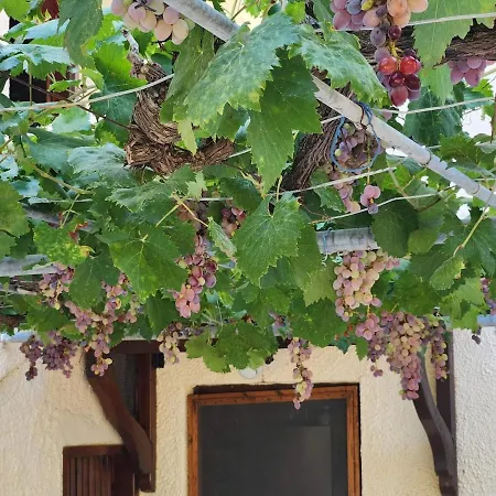 Apartmán Konak Sarti Sarti