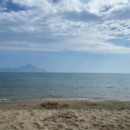 Konak Sarti 萨尔蒂