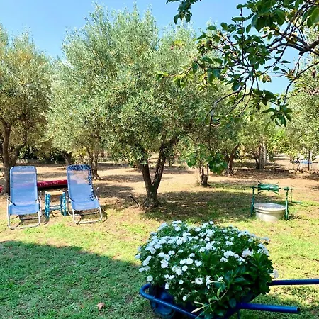 Apartament Konak Sarti *