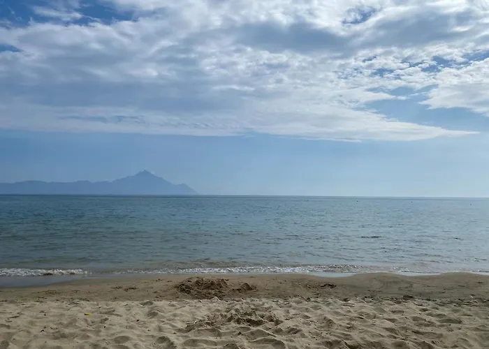 Konak Sarti Sarti